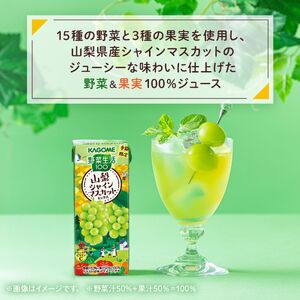 カゴメ 野菜生活100 山梨シャインマスカットミックス 195ml 48本 砂糖不使用 ビタミンC 紙パック 健康 飲料 果汁 贈答用 山梨 季節限定 期間限定 [8月下旬より順次発送]