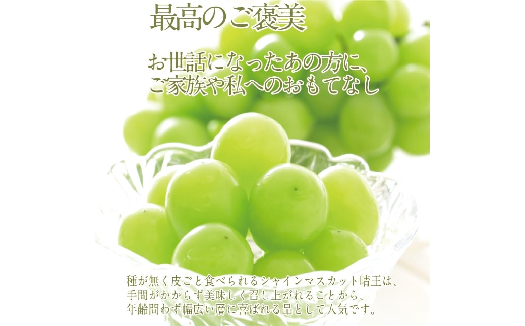  プレミアム シャインマスカット 晴王 1房 約650g