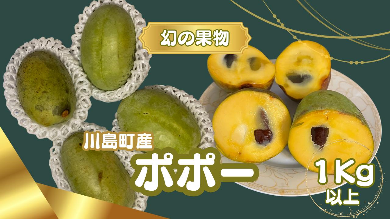 
                  ※限定10個【幻の果物ポポー】 希少な幻の果物ポポー1kg以上　農薬不使用　栄養豊富 希少 国産 埼玉県 川島町産 ポポー 期間限定 (9月上旬頃から発送開始のお品です)
                