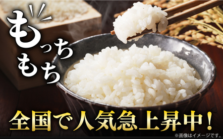【時間が経っても美味しい】【全3回定期便】令和5年産 さがびより 白米 計6kg（2kg×1袋×3回） 佐賀県/株式会社森光商店[41ACBW043]