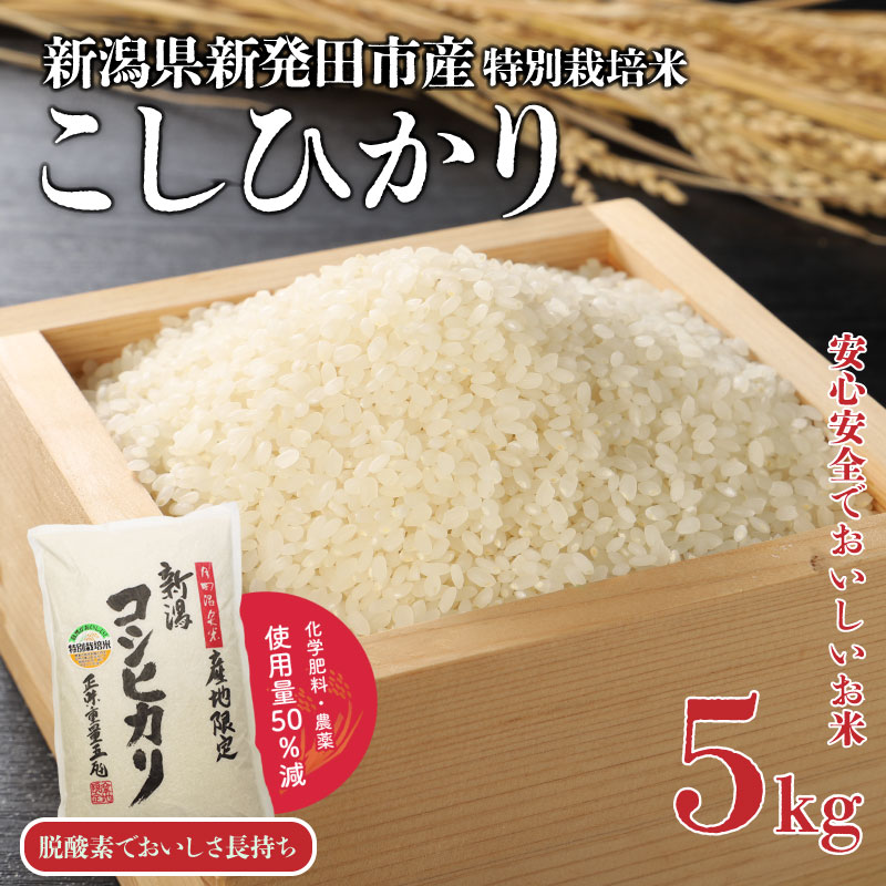 【特別栽培米】こしひかり 5kg 新潟産 新発田産 こめ watasho004_1