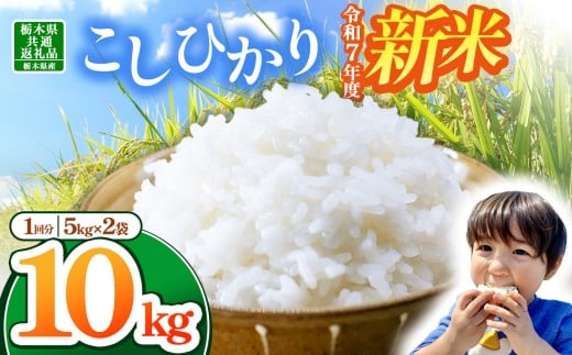 【栃木県共通返礼品】【令和7年度新米】 訳あり 栃木県産コシヒカリ 10kg | ふるさと 納税 コシヒカリ お米 精米 白米 玄米 大粒 共通返礼品 送料無料 那珂川町 栃木県