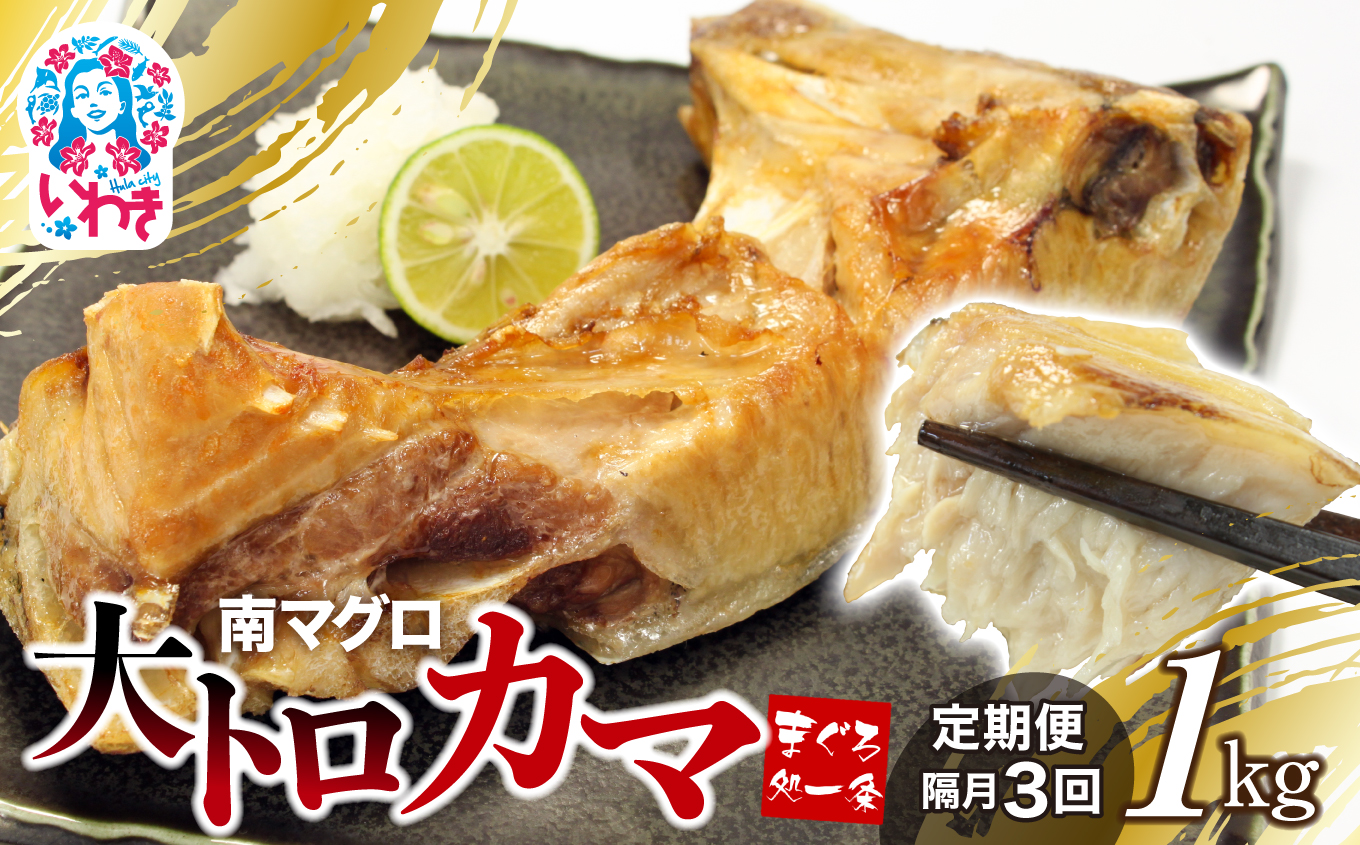 【定期便/隔月/計3回】南マグロ大トロカマ1kg（計3kg） | 加熱用 選べる 回数 定期便 冷凍 塩焼き 煮付け まぐろ 鮪 マグロ 焼き魚 高級種 希少部位 | DG016-1kg-tk3