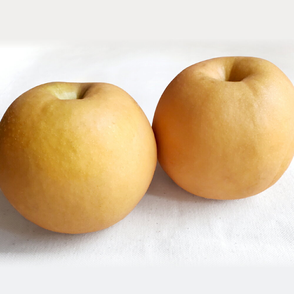 【ふるさと納税】＜選べる内容量＞あたご梨 計約4kg（3～6玉）・計約1.8kg（2玉） 愛宕梨 梨 なし ナシ くだもの 果物 果実 フルーツ 岡山県産 国産 岡山県 倉敷市 送料無料 【2025年11月下旬～12月下旬迄順次発送予定】