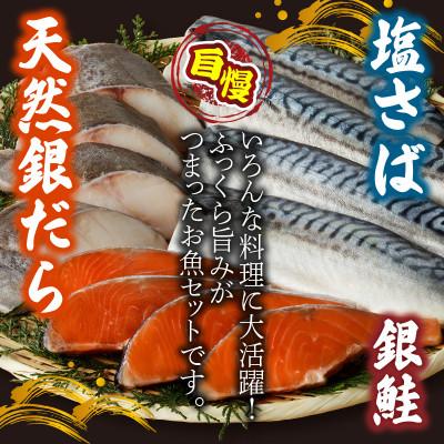 ふるさと納税 湯浅町 【毎月定期便】和歌山魚鶴仕込みのだし漬け銀だら切身4切・銀鮭切身4切・塩さばフィレ4枚全3回 |  | 01