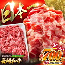 【ふるさと納税】【全6回定期便】長崎和牛 バラ・もも 切り落とし 計4.2kg (約700g×6回) 肉 お肉 牛肉 赤身 和牛 切り落とし バラ もも 東彼杵町/黒牛 [BBU018]