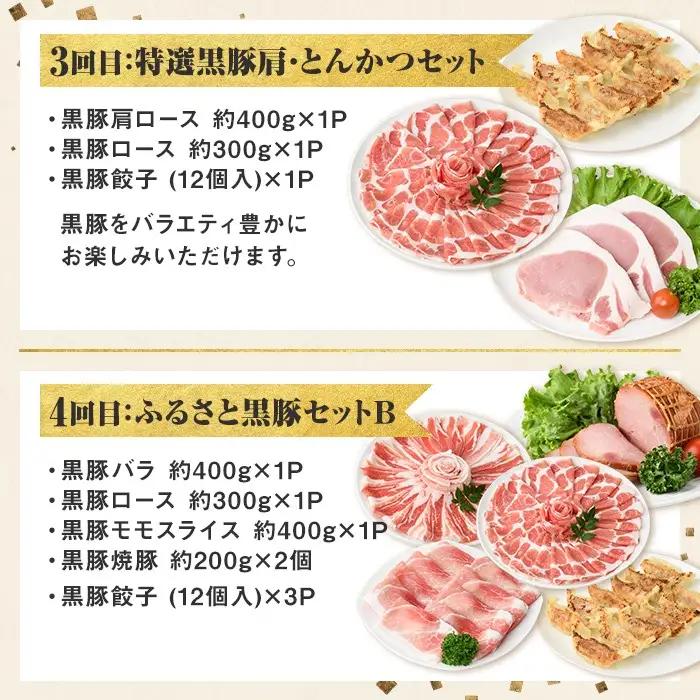 ＜定期便・全5回＞かごしま黒豚まんぞく定期便B (月1回×5ヶ月) 国産 黒豚 焼豚 肩ロース 餃子 しゃぶしゃぶ【和田養豚】D02007