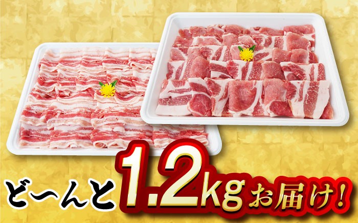 肉 豚 ぶた ブタ ロース 焼肉 焼き肉 しゃぶしゃぶ 小分け 西海市 長崎 九州 定期便