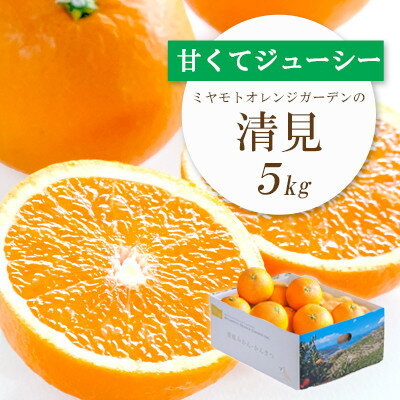 【ふるさと納税】【2025年4月上旬出荷】果汁たっぷり ジューシー清見5kg【D25-126】_ みかん ミカン 柑橘 フルーツ ふるーつ 果物 くだもの 青果 清見 きよみ 甘い ジューシー 愛媛 希少 産直 産地直送 【1268370】