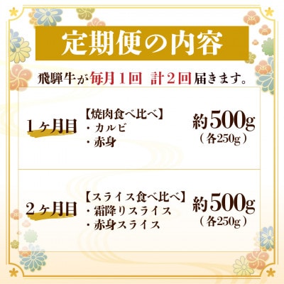 飛騨牛霜降り・赤身食べ比べセット　2ヶ月定期便　計1kg【配送不可地域：離島】