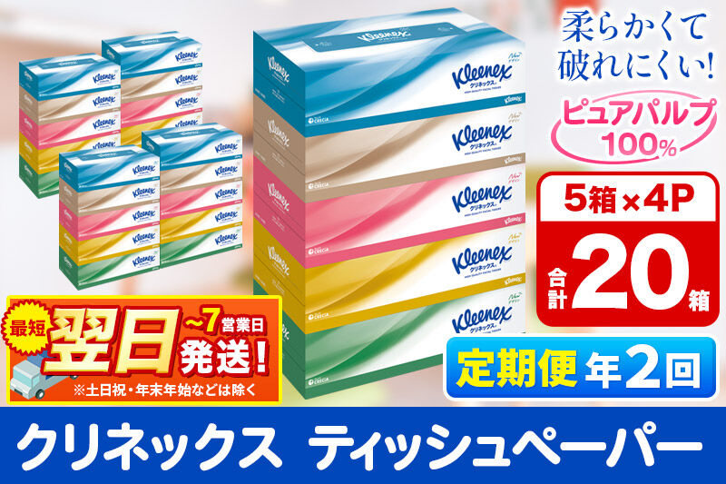 《6ヶ月ごとに2回お届け》定期便 ティッシュ クリネックス 20箱 5箱×4パック 秋田市オリジナル 最短翌日発送 [クリネックス ティッシュ ボックスティッシュ 日本製紙クレシア 定期便]