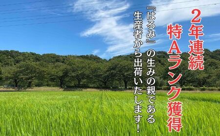 米 2年連続特Aランク 米 湘南生まれ 【 はるみ 】 5kg 令和6年度産新米 10月以降順次発送 お米 白米 新米 精米 はるみ ブランド米 特A 神奈川 藤沢