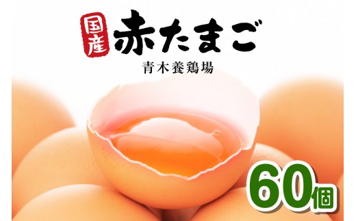 
                  国産　赤卵　60個入｜たまご 赤玉子 卵 たまご タマゴ 玉子 鶏卵 産みたて 新鮮 こだわり 上質 濃厚 卵焼き 卵かけご飯 国産 阿久比町産 送料無料 愛知県 阿久比町
                