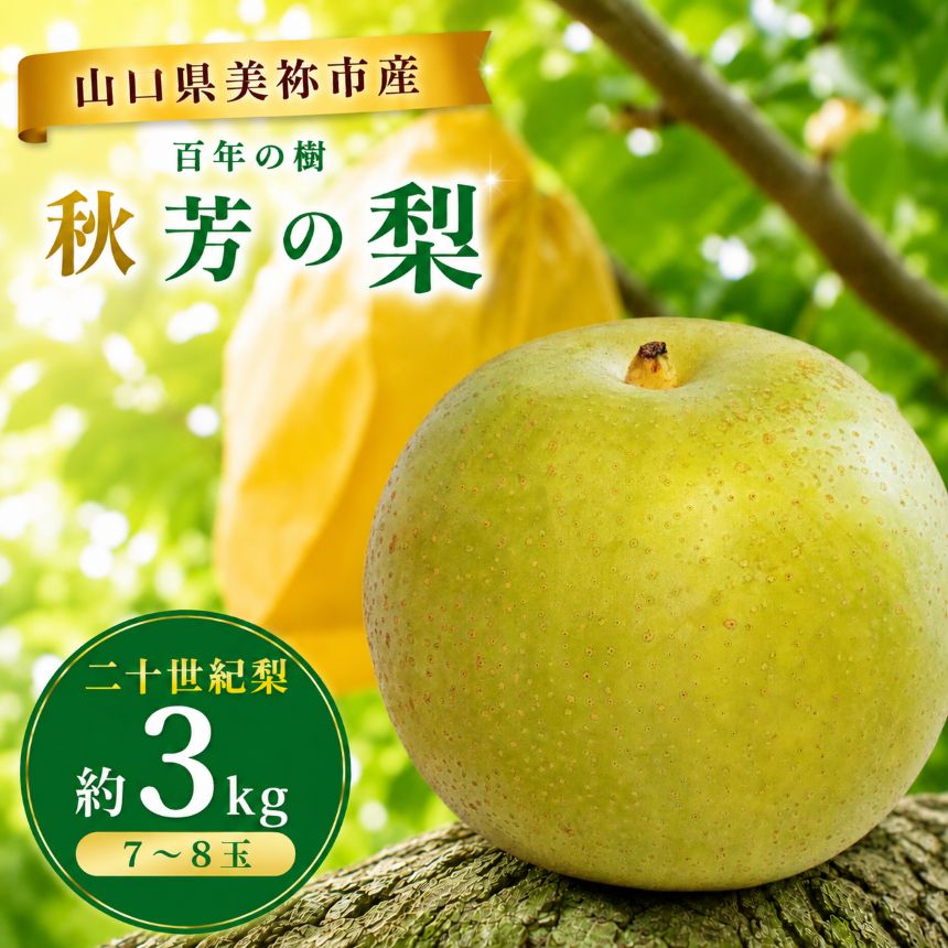 【ふるさと納税】 美祢市産 二十世紀梨 (秋芳の梨 百年の樹)（ 約 3kg ）先行予約〈2026年9月上旬〜9月末頃 発送予定〉｜ 二十世紀 なし 梨 フルーツ 百年の樹 特産品 美祢市 美祢 山口県 山口 秋芳町 秋芳 カルスト台地