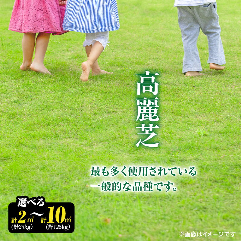 【ふるさと納税】【10月から5月に発送】＜選べる＞高麗芝 2平方メートル or 10平方メートル 芝生 芝 庭 天然芝 踏圧 擦切れ 強い お手入れ ガーデニング DIY かのや緑化協同組合 鹿児島 鹿屋市 おすすめ ランキング プレゼント ギフト