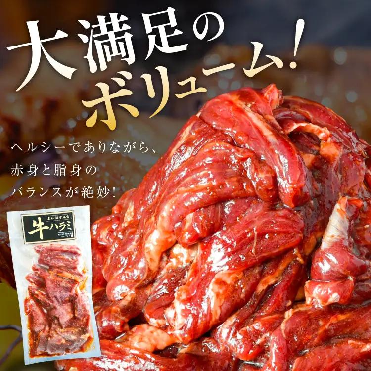 特製タレ漬 牛ハラミ 計900g (300g×3p) ハラミ 