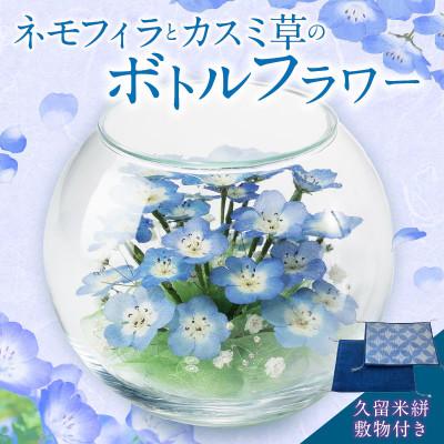 ふるさと納税 久留米市 ネモフィラとカスミ草のボトルフラワー(久留米絣敷物付き)