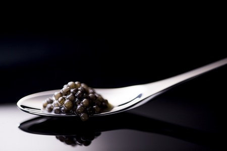 SAITO CAVIAR PREMIUM ONE BAERII 12g キャビア 西都市オリジナル＜2.7-3＞鮎のよしの