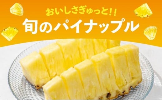 【訳あり】 石垣島産 パイナップル 詰め合わせ 約8kg (6～20個)《2026年5月から順次発送》 KP-16