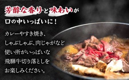 ＼贅沢な味わいをご家庭で／ 【飛騨牛】切り落とし 1kg (250g×4)【肉のひぐち】 国産 ブランド牛 和牛 BBQ キャンプ  [TDC013]