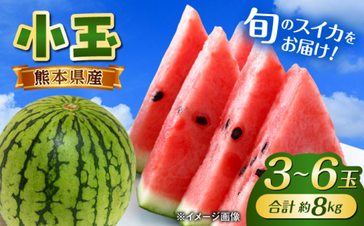 【2026年5月より発送 数量限定】こだまスイカ 1箱 約8kg (3L～M 3～6玉入り)  / スイカ すいか こだまスイカ 小玉スイカ 西瓜 suika ひとりじめ まなむすめ 黒小玉 甘い 糖度 シャリシャリ 初夏 旬 フルーツ 果物 小玉 熊本 熊本県 合志 合志市 九州 特産品 お取り寄せ 【株式会社 GGYパッケージ】[AYAU003]