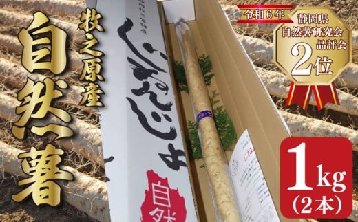 【 予約受付 】自然薯 1kg 2本 じねんじょ 山芋 ヤマイモ 山いも とろろ とろろ汁 国産 滋養強壮 強壮 とろろご飯 ご飯のお供 健康 栄養 美味しい おいしい 自宅用 家庭用 贈答用 贈答 贈り物 ギフト プレゼント おすすめ オススメ 産地直送 農家直送 産直 直送 静岡県産 牧之原産 お土産 とろろごはん やまいも 野菜 芋 イモ ご飯 ごはん 和食 やまあい農園 静岡県 牧之原市