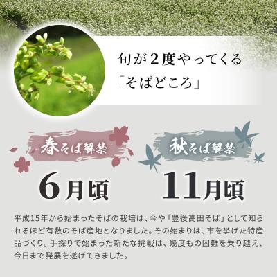 ふるさと納税 豊後高田市 【ふるさと納税】年越しそば 用 R7秋 新そば 豊後高田そば(100g×8食・つゆ付) 12/17〜 |  | 02