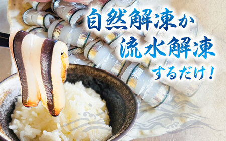 【全10回定期便】新鮮キビナゴのお刺身 五島市/Sun Sea Go Company[PGL004]