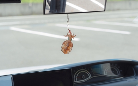 アオリイカ アクセサリー S / オーダーメイド オーダー制作 キーホルダー ストラップ エギング 釣り 海 うみ ルームミラー 飾り アクセント インテリア おしゃれ かわいい お土産 雑貨 思い出