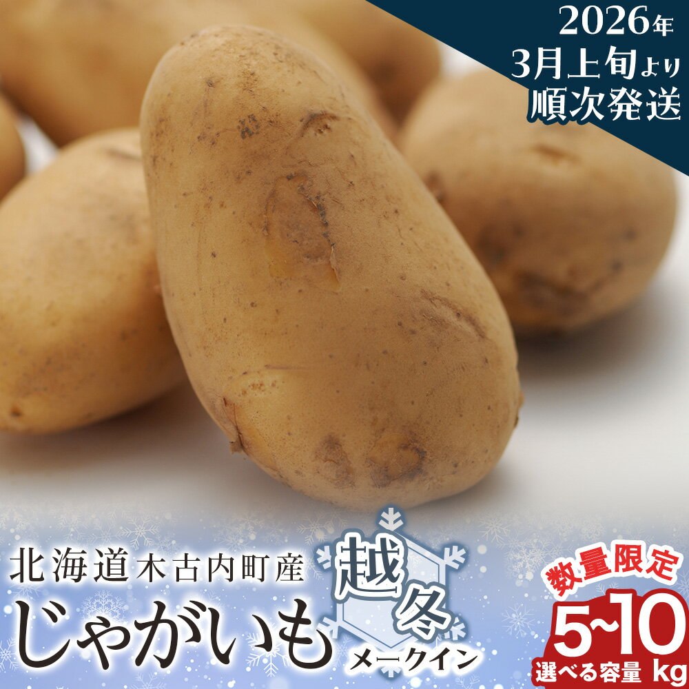【ふるさと納税】〈3月上旬以降発送予約〉【冨田農園】越冬じゃがいも 選べる5kg～10kg 〈 メークイン 〉 北海道 じゃがいも 越冬 木古内町ジャガイモ 野菜 詰め合わせ セット 北海道ふるさと納税 木古内町 ふるさと納税 北海道
