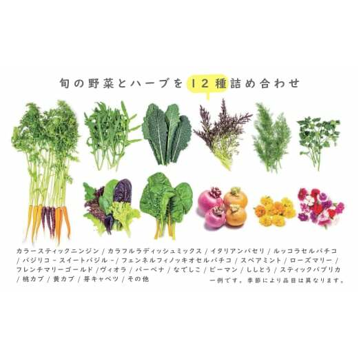 【定期便】彩り野菜と香るハーブセット　６回お届けセット　　[野菜セット 定期便 野菜詰め合わせ 定期便 野菜セット]_イメージ4