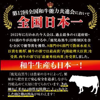 i051 ＜E-301＞肉質最高ランク等級5等級　鹿児島黒牛サーロインステーキ(2枚)・すきやき(4～5人前)セット(計1kg)国産 牛肉 ステーキ 黒牛 すき焼き 詰め合わせ セット ブランド牛 お