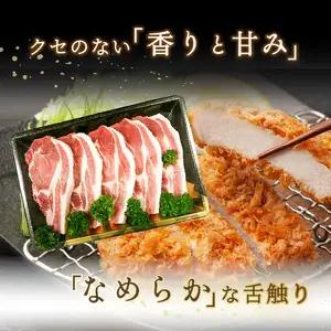 米の恵み　ロースかつ　約120g×5枚 A02011