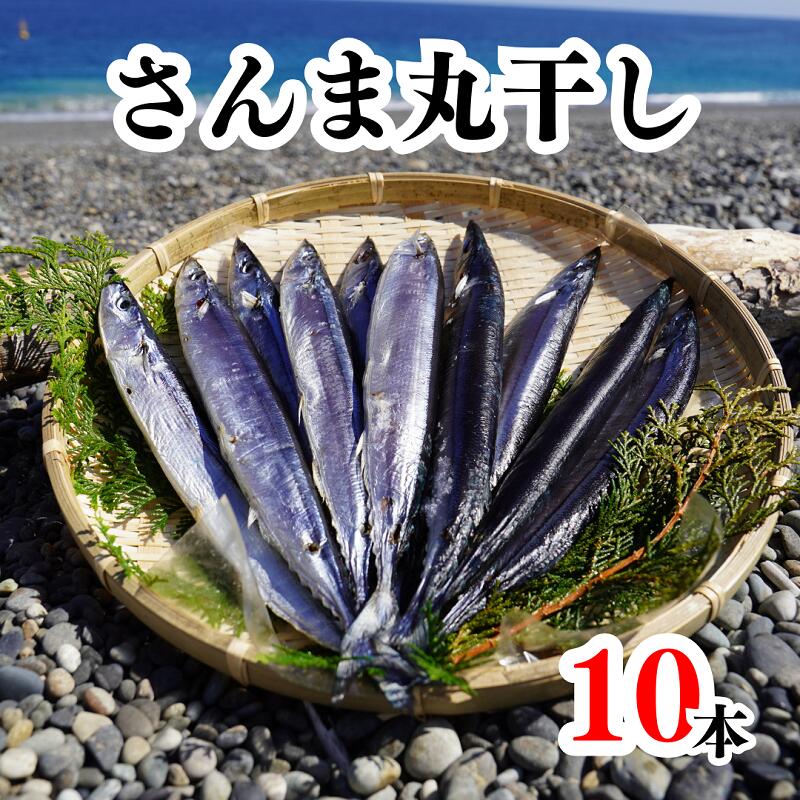 【ふるさと納税】さんま丸干し　10本　魚作商店3代目の丸干し製法