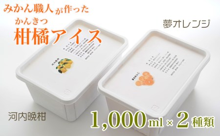 アイス 柑橘 夢オレンジ 河内晩柑 1000ml 2種 ギフト 詰め合わせ みかん職人 武田屋 アイス  シャーベット ソルベ お取り寄せ 夢オレンジ 河内晩柑 みかん アイス 柑橘 シャーベット み