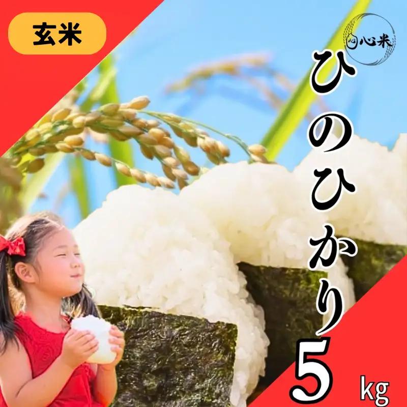 玄米 R7年産 5kg ヒノヒカリ | 玄米