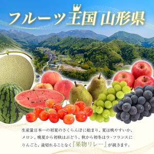 【先行予約 2026年度発送】☆フルーツ王国山形☆プラム（秋姫）1.4kg 秀品 フルーツ 果物 くだもの 果実 食品 山形県 FSY-2549