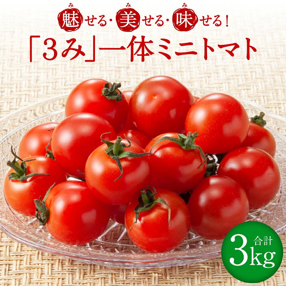 【ふるさと納税】魅せる・美せる・味せる！「3み」一体ミニトマト！ 八代市産 トマト ミニトマト 約3kg 野菜 とまと 熊本県 八代市 送料無料