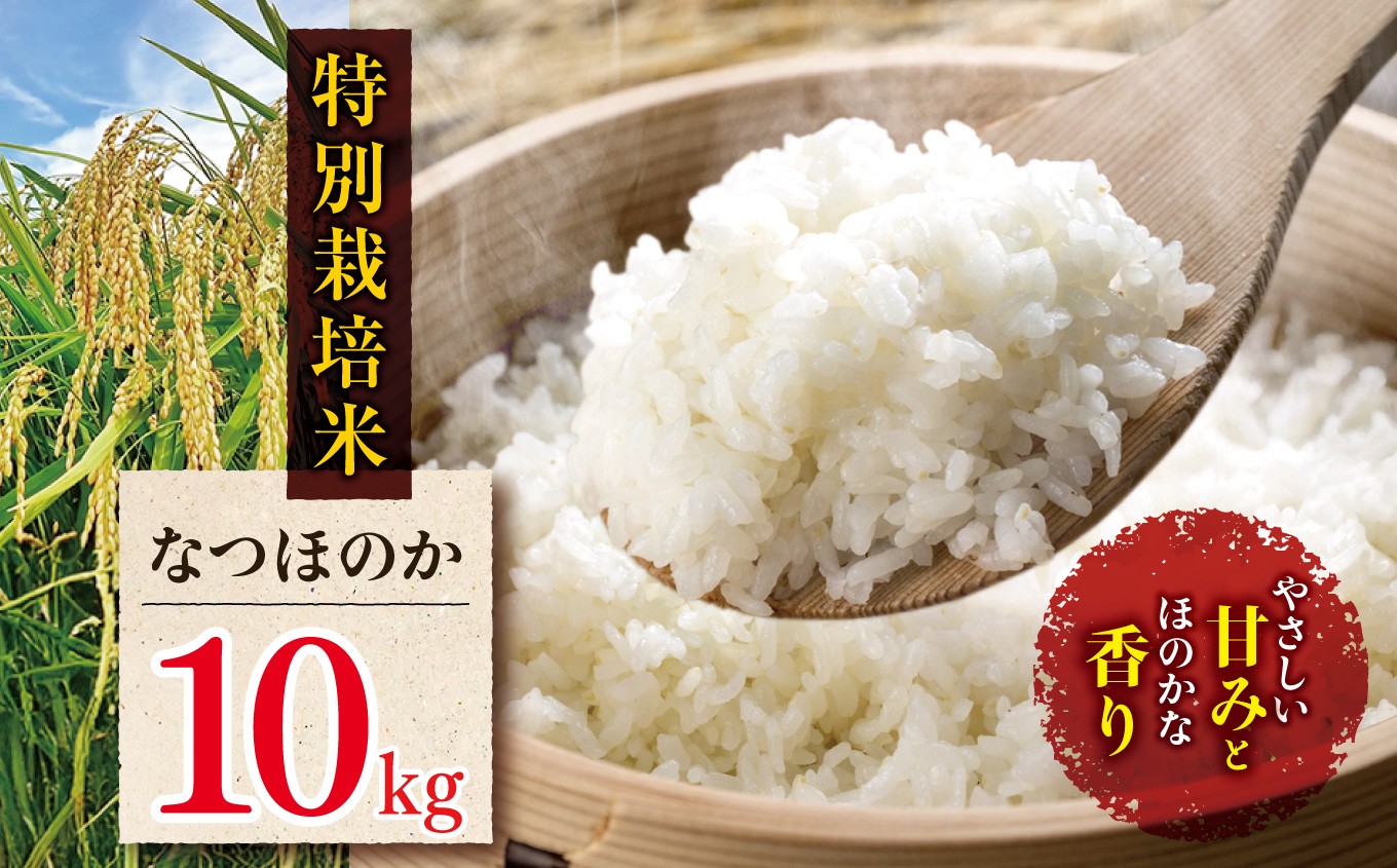 
                  特別栽培米 なつほのか 10kg | お米 米 精米 白米 おこめ こめ ご飯 ごはん 国産米 5キロ 大分県産 九州産 大分県 中津市
                