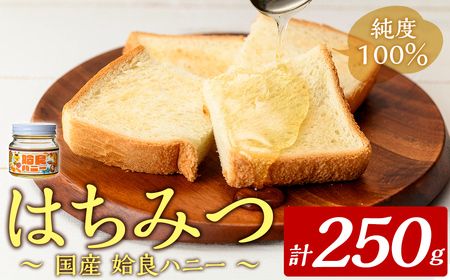 a1002-A 《期間限定！》姶良ハニー(250g)【原電設工業】姶良市 国産 ハチミツ はちみつ 蜂蜜 百花蜜 蜜 常温 常温保存