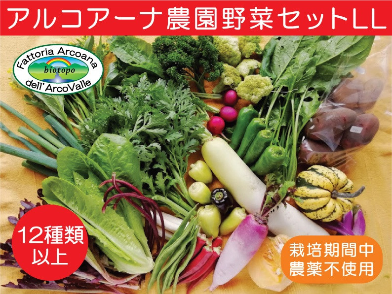 
            【２０２５年７月～発送】アルコアーナ農園野菜セット（栽培期間中農薬不使用）ＬＬサイズ　0148-2508
          