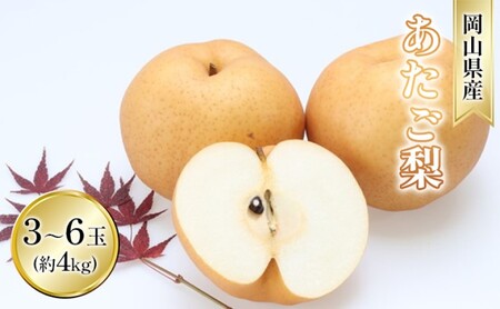 梨 2025年 先行予約 あたご梨 約4kg 3～6玉入り  なし ナシ  岡山県産 国産 フルーツ 果物 ギフト 和梨 デザート 食後 日本一の大きさ 大玉 シャリシャリ