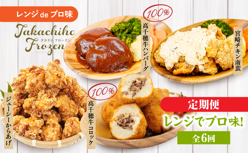 【6か月定期便】レンジでプロ味！定期便_Tk005-t042
