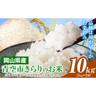 ふるさと納税 矢掛町 青空市きらりのお米 10kg《30日以内に発送予定(土日祝除く)》