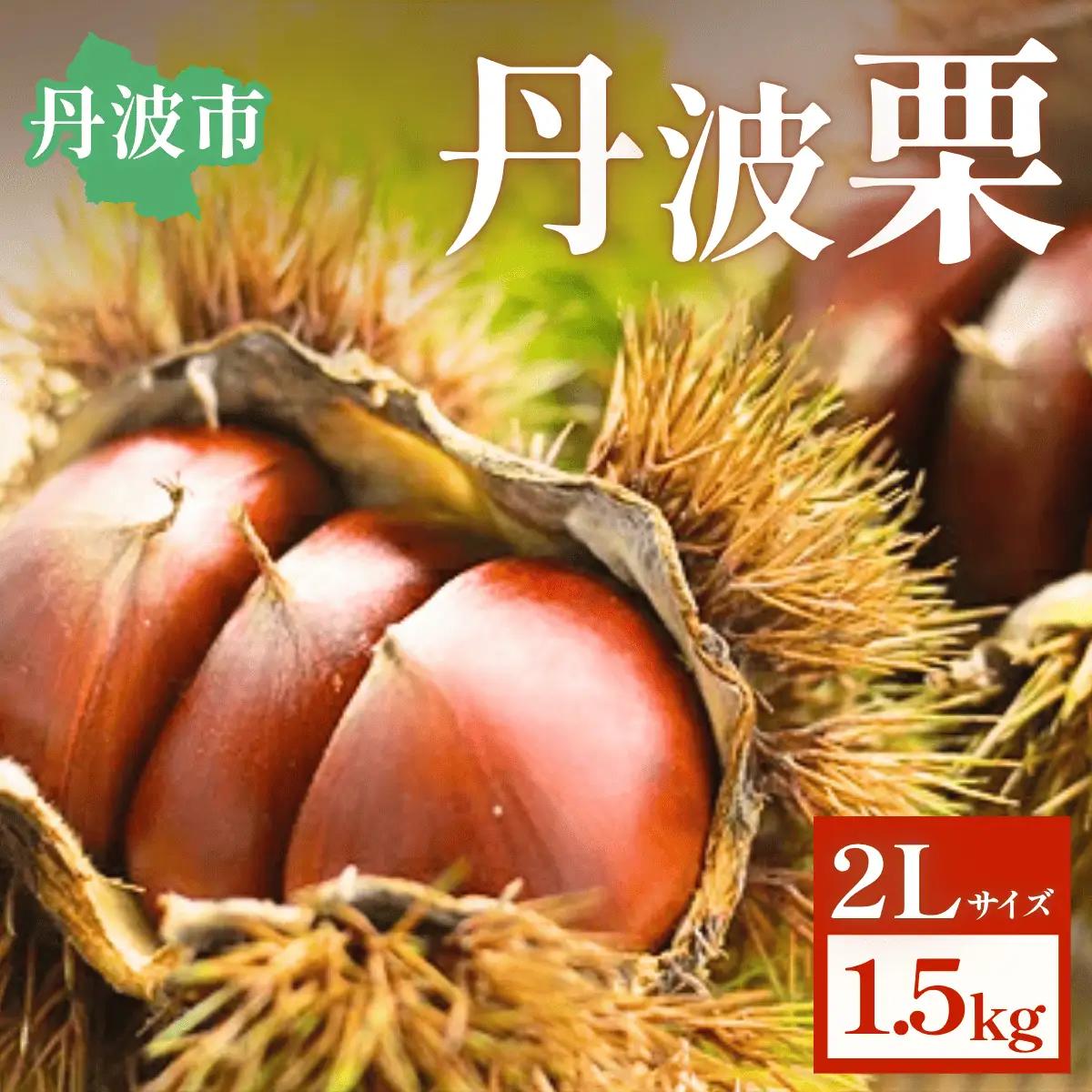 丹波栗　2Lサイズ　約1.5kg