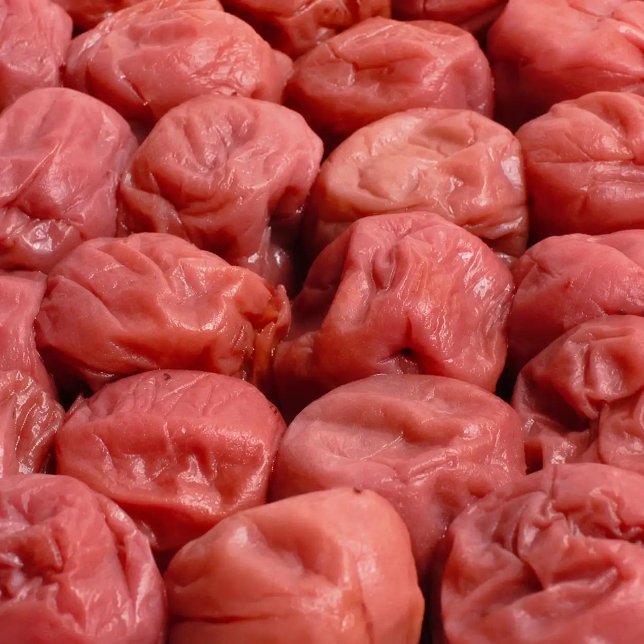 【訳あり・ご家庭用】家庭用 紀州南高梅 しそ梅干し 約500g つぶれ梅 塩分ひかえめ【順次発送】［IKE84］【AQ97083-ikd】