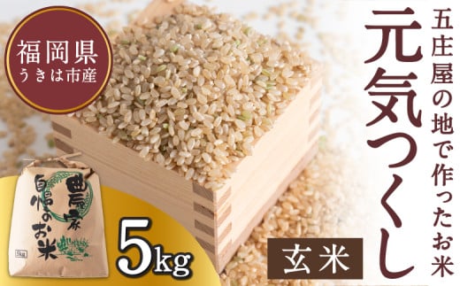 【特Aランク米】五庄屋の地で作ったお米 元気つくし 玄米 (5kg) 【2025年10月下旬より順次発送予定】 こめ コメ ごはん ご飯 福岡県うきは市産 九州産