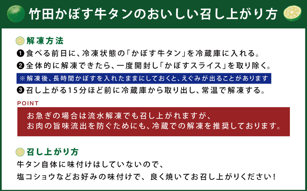 【13営業日以内発送】もつ鍋(あっさり塩とんこつ) 2～3人前 & 竹田かぼす 厚切り 牛タン 250g×2