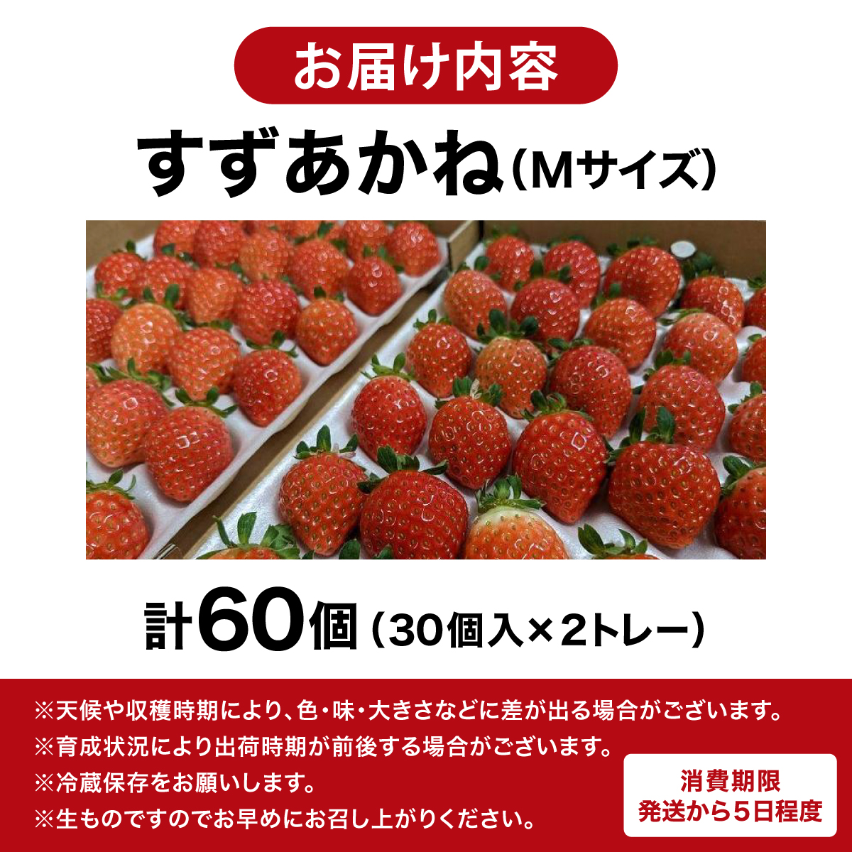2025年 発送 先行 予約 北海道 伊達市 いちご すずあかね Mサイズ 30個入り 2トレー 60個  苺 イチゴ スイーツ デザート 果物 甘い 赤 鮮やか 新鮮 ケーキ お菓子作り_イメージ5