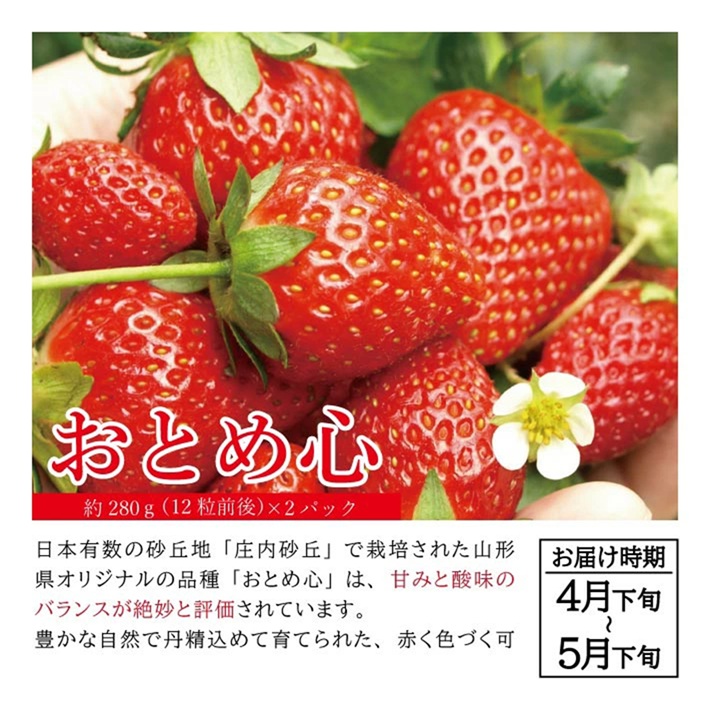 SE0506　【4回定期便】自然の恵み　季節のフルーツ定期便2026(3) (いちご、小玉スイカ、彩りメロン、柿)